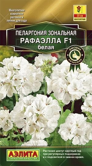 Пеларгония Рафаэлла F1 белая 5 шт от компании Садовник - все для сада и огорода - фото 1