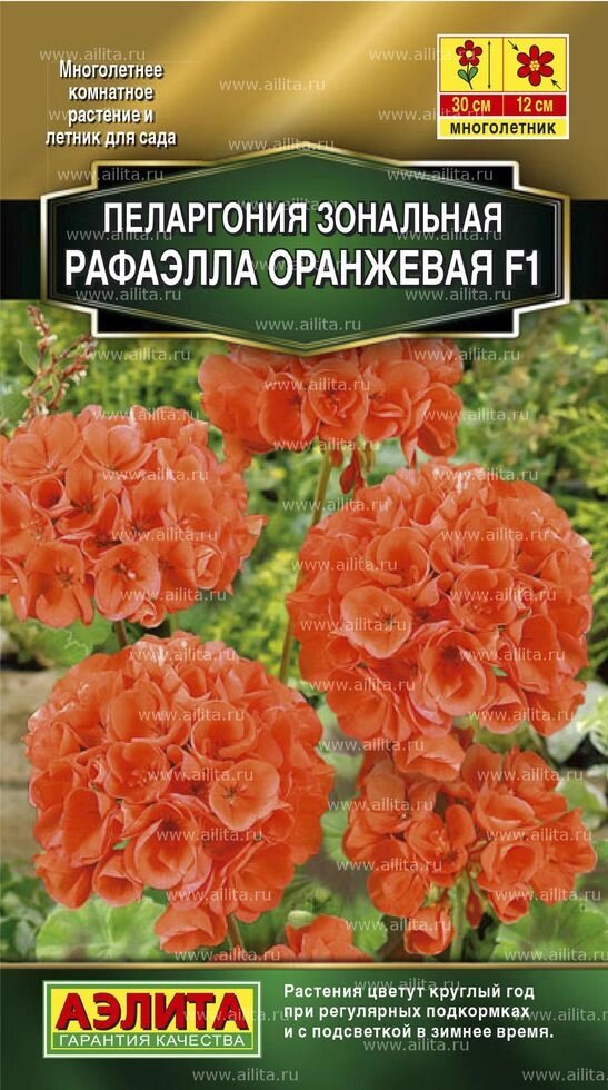 Пеларгония Рафаэлла F1 оранжевая 5 шт от компании Садовник - все для сада и огорода - фото 1
