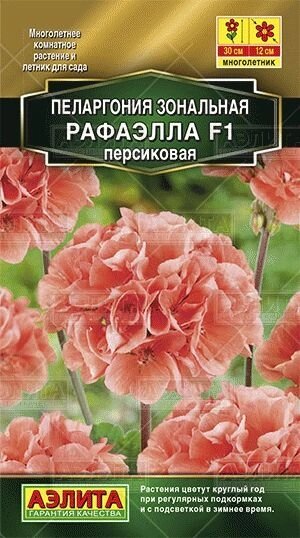 Пеларгония Рафаэлла F1 персиковая 5 шт от компании Садовник - все для сада и огорода - фото 1