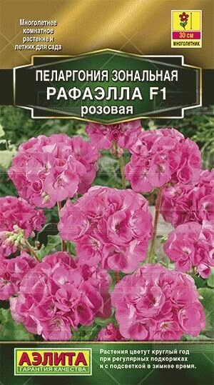 Пеларгония Рафаэлла F1 розовая 5 шт от компании Садовник - все для сада и огорода - фото 1