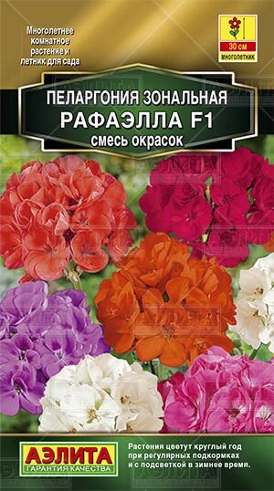 Пеларгония Рафаэлла F1 смесь окрасок 5 шт от компании Садовник - все для сада и огорода - фото 1