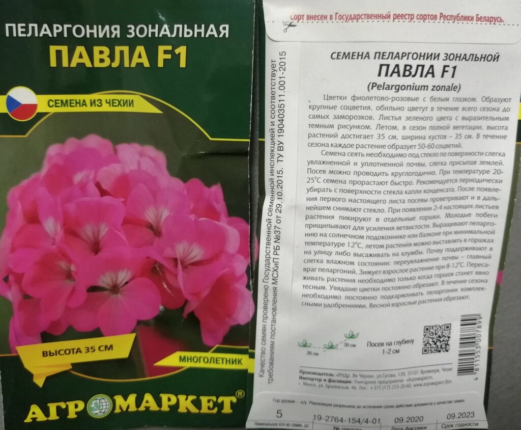 Пеларгония зональная Павла F1 5шт. на акции срок годности до 09.23года от компании Садовник - все для сада и огорода - фото 1