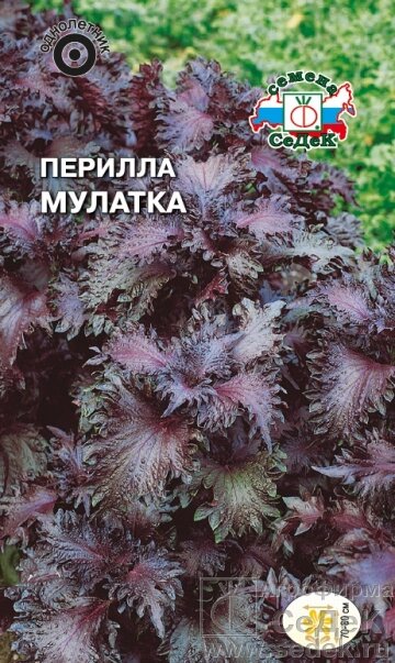 Перилла Мулатка, пурпурная 0,1 гр СДК ! НОВИНКА! от компании Садовник - все для сада и огорода - фото 1