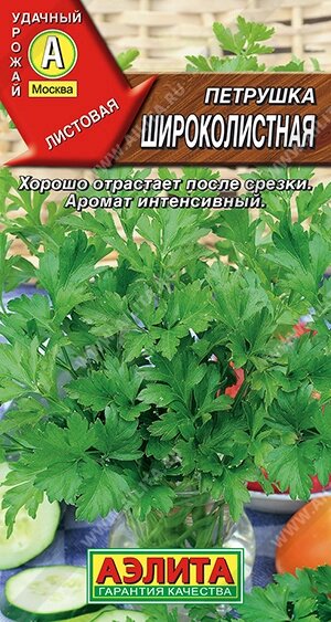 Петрушка Широколистная АЭЛИТА 2гр от компании Садовник - все для сада и огорода. Семена почтой по всей РБ - фото 1