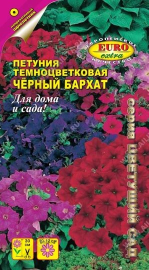 Петуния Черный бархат, смесь окрасок НОВИНКА 0,04 гр от компании Садовник - все для сада и огорода. Семена почтой по всей РБ - фото 1