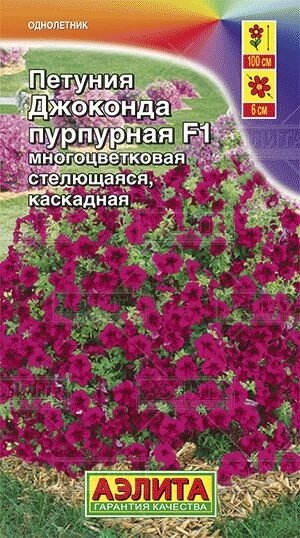 Петуния Джоконда F1 пурпурная 5шт от компании Садовник - все для сада и огорода - фото 1