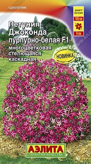 Петуния Джоконда F1 пурпурно-белая 5 шт. от компании Садовник - все для сада и огорода. Семена почтой по всей РБ - фото 1