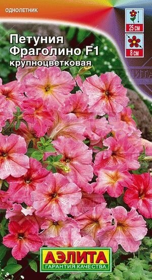 Петуния Фраголино F1 крупноцветковая 10 шт от компании Садовник - все для сада и огорода - фото 1