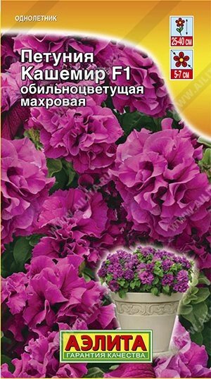 Петуния Кашемир F1  10 шт. от компании Садовник - все для сада и огорода. Семена почтой по всей РБ - фото 1