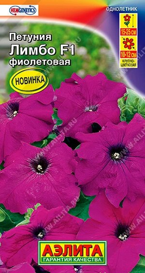 Петуния Лимбо F1 фиолетовая крупноцветковая НОВИНКА 7 шт от компании Садовник - все для сада и огорода - фото 1