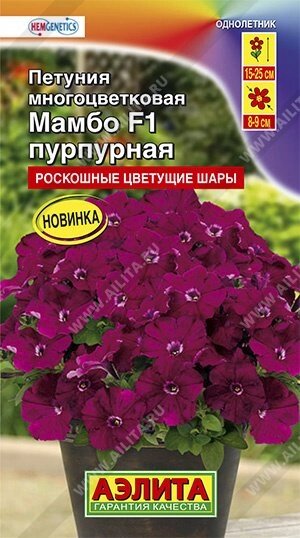 Петуния Мамбо F1 пурпурная многоцветковая 7 шт. от компании Садовник - все для сада и огорода - фото 1