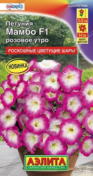 Петуния Мамбо F1 розовое утро многоцветковая 7шт от компании Садовник - все для сада и огорода - фото 1