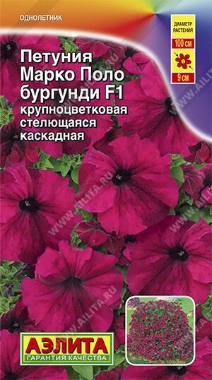 Петуния Марко Поло F1 бургунди 10 шт. от компании Садовник - все для сада и огорода - фото 1