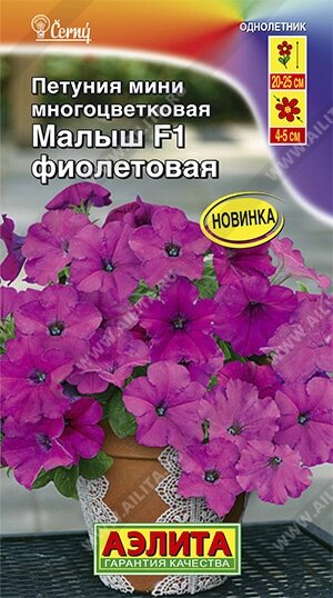 Петуния мини Малыш F1 фиолетовая многоцветковая НОВИНКА 7 шт от компании Садовник - все для сада и огорода - фото 1