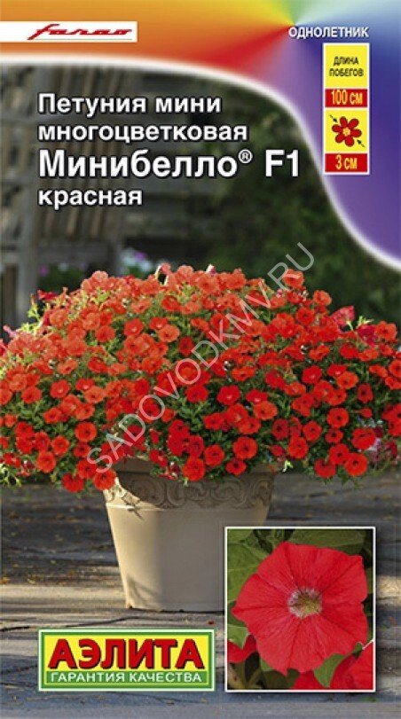 Петуния мини Минибелло F1 красная многоцветковая 7шт. от компании Садовник - все для сада и огорода - фото 1