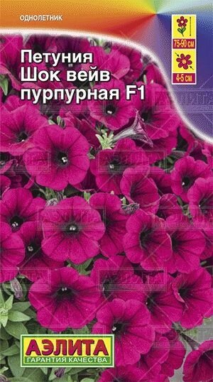 Петуния Шок вейв F1 пурпурная 7 шт от компании Садовник - все для сада и огорода - фото 1