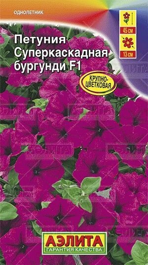 Петуния СуперКаскадная F1 бургунди 7 шт от компании Садовник - все для сада и огорода - фото 1