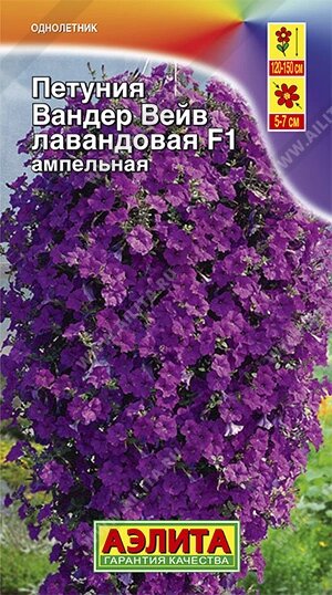 Петуния Вандер Вэйв лавандовая F1 ампельная НОВИНКА 5шт от компании Садовник - все для сада и огорода. Семена почтой по всей РБ - фото 1