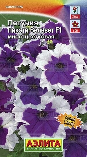 Петуния Вельвет пикоти F1 10 шт от компании Садовник - все для сада и огорода - фото 1