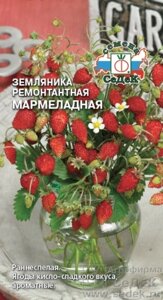 Земляника Мармеладная0,04 гр СДК