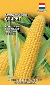 Кукуруза сахарная Спирит, 15шт, Г
