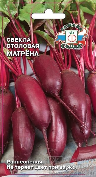 Свекла Матрёна (столовая) 3 гр СДК ! НОВИНКА! - обзор