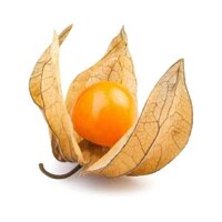 Семена физалиса