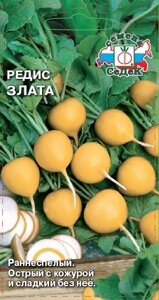 Редис Злата 3гр седек