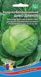 Капуста Диво дивное белокочанная 0,3г (УД)