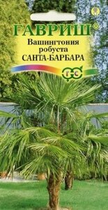 Вашингтония Санта-Барбара 3 шт (Г) ! НОВИНКА!