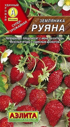 Земляника Руяна альпийская 0.04 г. - гарантия