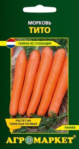 Морковь Тито 2 г. Голландия