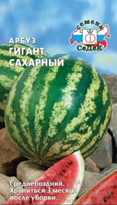 Арбуз Гигант Сахарный 1гр СДК в Могилевской области от компании "Садовник - Могилев"