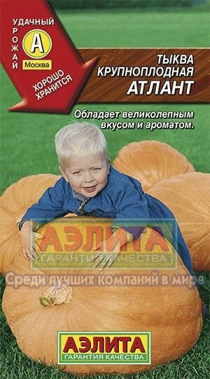 Тыква  Атлант 2г. - распродажа