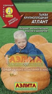 Тыква Атлант 2г.