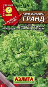 Салат листовой Гранд 0.5г. АЭЛИТА