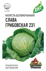 Капуста белокоч. Слава Грибовская 231 0.5 (Г)