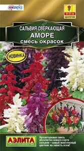 Сальвия Аморе, смесь окрасок 7 шт