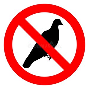 Защита от птиц