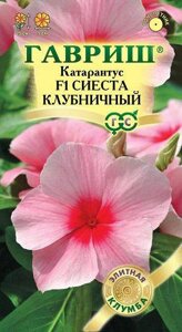 Катарантус Сиеста клубничный F1, 5шт