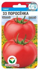 Томат 33 поросенка томат