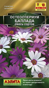 Остеоспермум Баллада, смесь сортов НОВИНКА 10шт