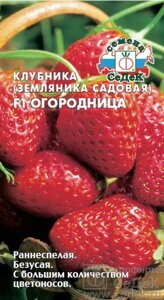 Клубника Огородница F1 (земляника садовая) 15шт