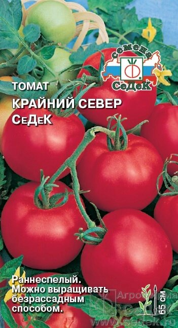 Томат крайний север седек 0,1 гр сдк ! новинка! - распродажа