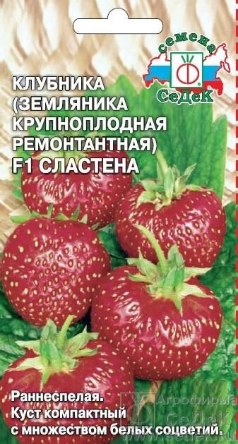 Земляника Сластена F1 (крупноплодная ремонтантная, клубника) 15 шт - обзор