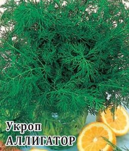 Укроп Аллигатор 2,0 г (Гав) хит