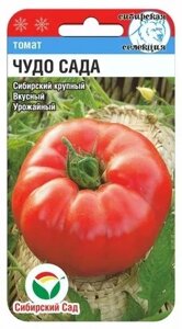 Чудо сада 20шт томат (Сиб сад) в Могилевской области от компании "Садовник - Могилев"