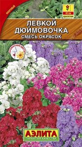 Левкой карликовый Дюймовочка, смесь окрасок 0,1гр