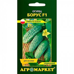 Огурец Борус F1, 1 г