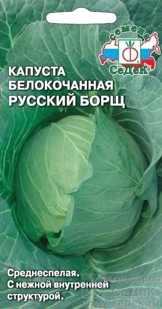 Капуста белокочанная Русский борщ СДК 0,5г - заказать